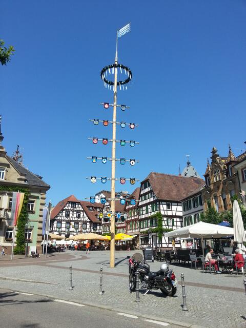 2014 erstrahlte der Zunftbaum in neuem Glanz.