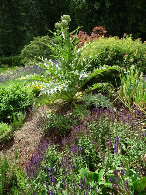 Foto: Helga Rössner