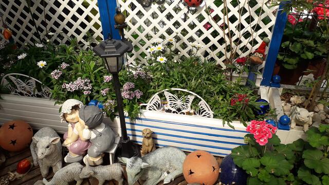 Unser Balkon - Pflanzen- und Insektenparadies | Foto: Thomas Klumpp