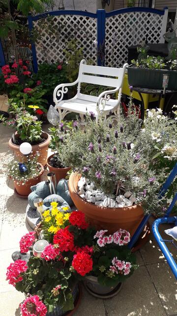 Unser Balkon - Pflanzen- und Insektenparadies | Foto: Heidi Knöller-Klumpp