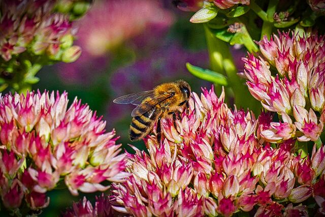 Foto: Michael Gläser