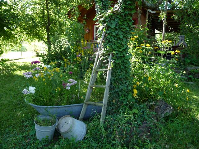 Foto: Margitta Schaier