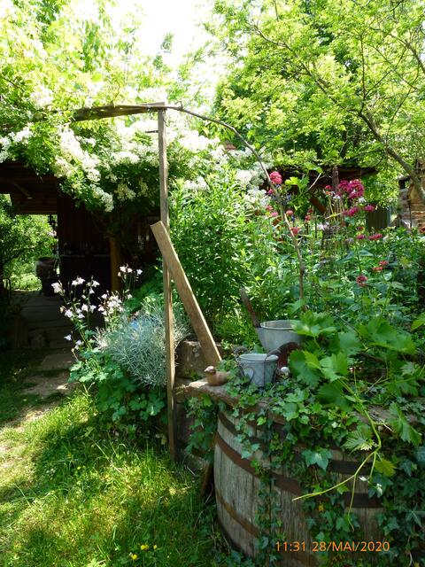 Foto: Margitta Schaier