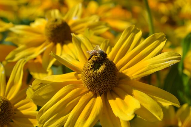 Foto: Margitta Schaier