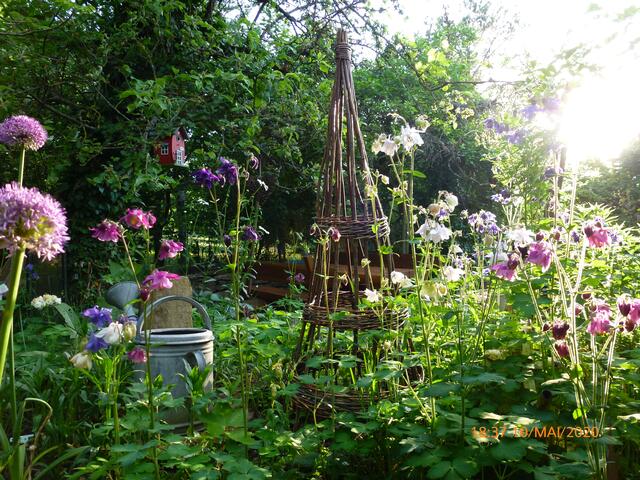 Foto: Margitta Schaier