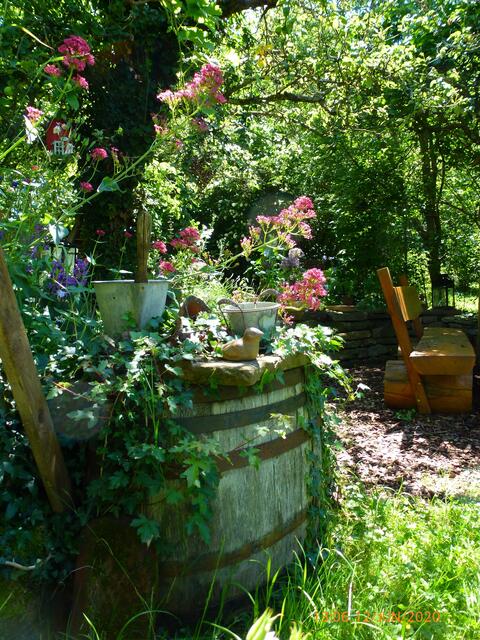 Foto: Margitta Schaier