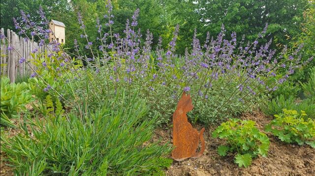 Foto: Kamila Kazberuk