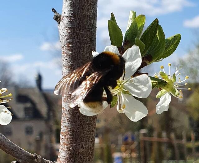 Foto: Kamila Kazberuk