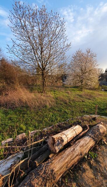 Foto: Kamila Kazberuk