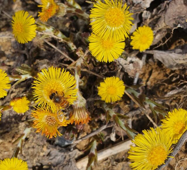 Foto: Kamila Kazberuk