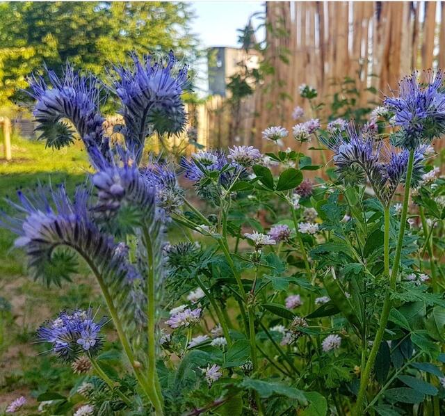 Foto: Kamila Kazberuk