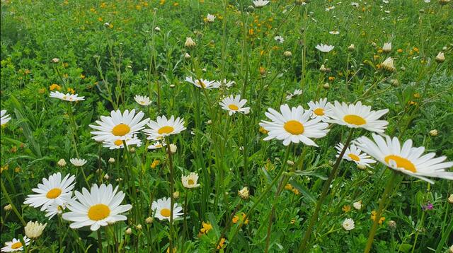 Foto: Kamila Kazberuk