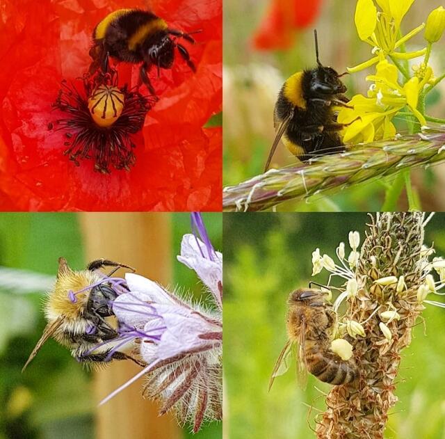 Foto: Kamila Kazberuk