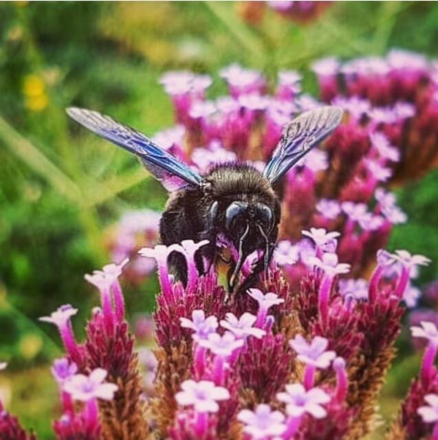 Foto: Kamila Kazberuk