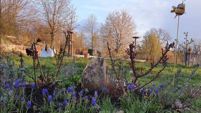 Foto: Kamila Kazberuk