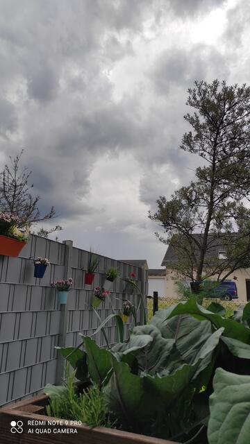 Foto: Heidi Montes Gonzalez