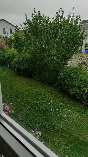 Foto: Heidi Montes Gonzalez