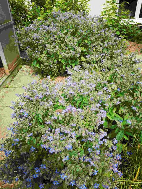 Foto: Familie Baumann