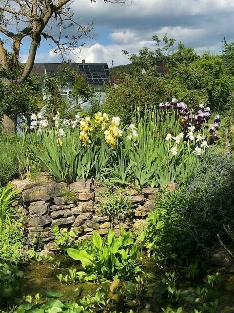 Foto: Anita Baumgarten