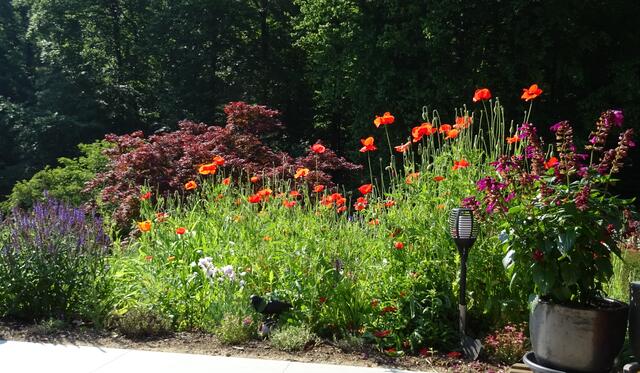 Foto: Helga Rössner