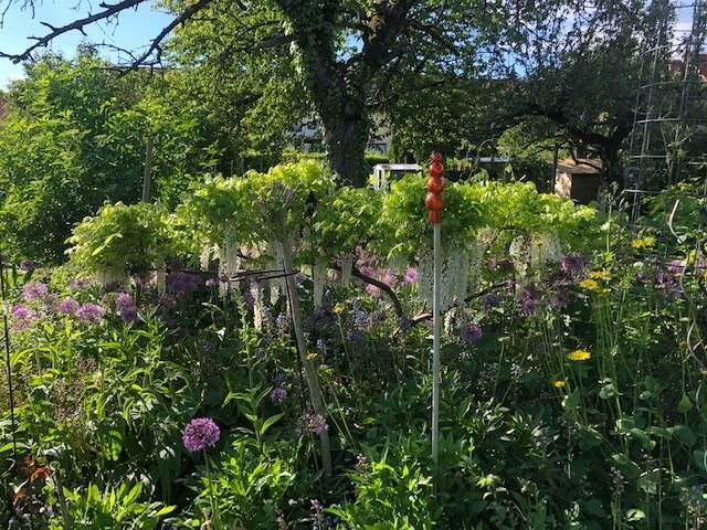 Foto: Anita Baumgarten