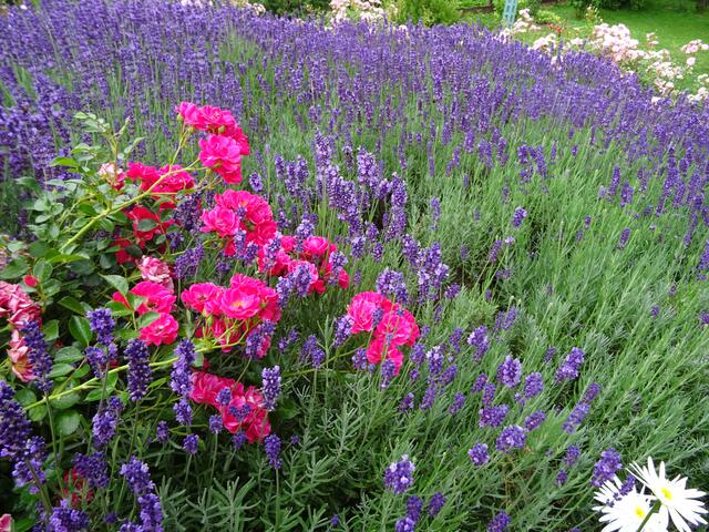 Foto: Helga Rössner