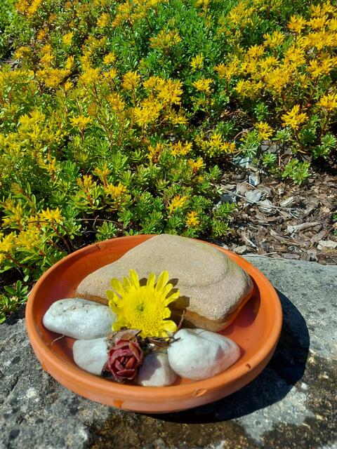 Der bienenfreundliche Garten von Nadine Wolf aus Oberderdingen.