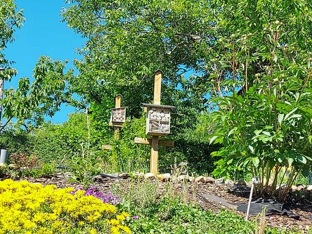Der bienenfreundliche Garten von Nadine Wolf aus Oberderdingen.