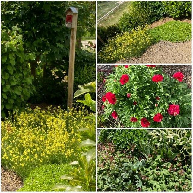 Foto: Annette Helmling