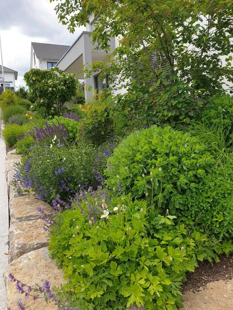 Der bienenfreundliche Garten von Simone Zickwolf.