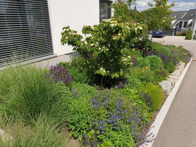 Der bienenfreundliche Garten von Simone Zickwolf.