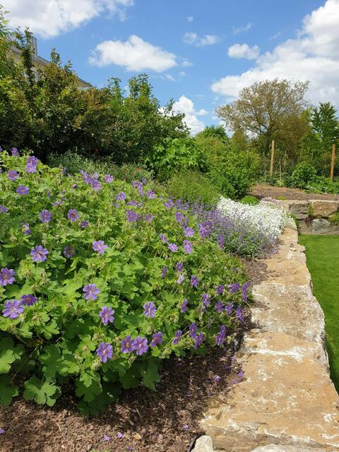 Der bienenfreundliche Garten von Simone Zickwolf.