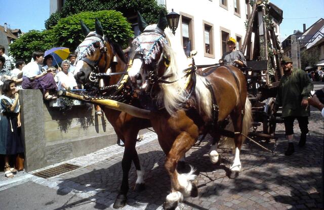 Festzugwagen mit Giebel des Dachstuhls | Foto: privat