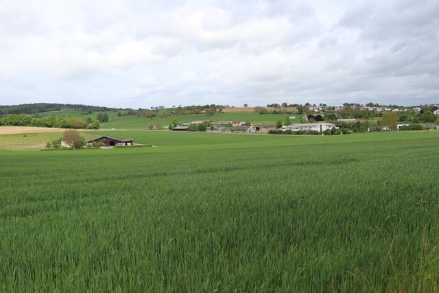 Durch diese Landschaft soll die Südwestumfahrung führen. Über ein Brückenbauwerk könnte der Verkehr in einen Tunnel gelangen und an der Nußbaumer Straße (K3568) in nach Bretten oder in Richtung Sprantal abfahren. | Foto: bea