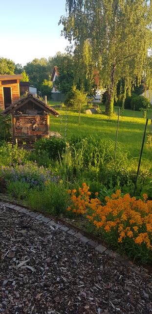 Das blühende Gartenparadies der Familie Winter | Foto: Monika Winter