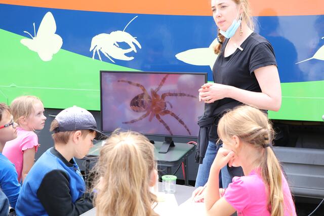 Unter Beobachtung. | Foto: bea