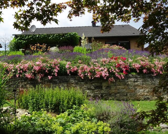 Foto: Helga Rössner