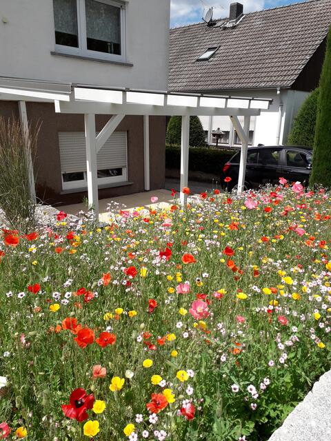 Foto: Gabriele Höchsmann, Bretten-Büchig