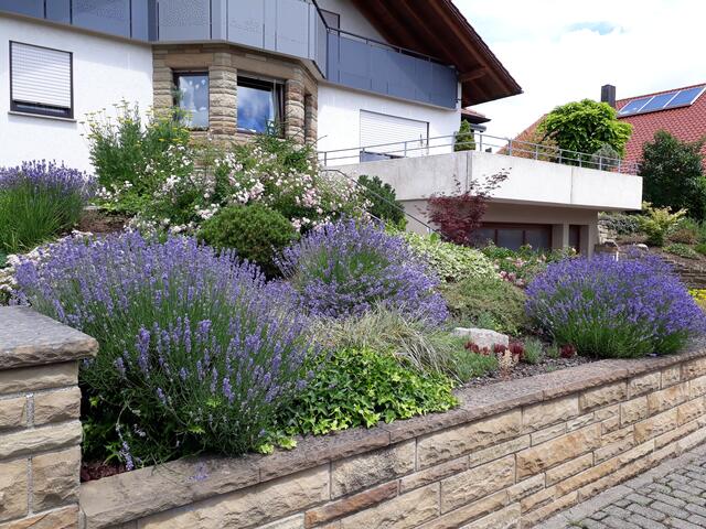 Foto: Irmgard Fischer, Sulzfeld