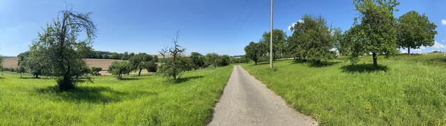 Blick in Richtung Diedelsheim/Gondelsheim. Auf dieser Fläche soll nach dem Willen der Stadt Bretten ein Gewerbegebiet entstehen. Rechts oben führt die B293 in Richtung Diedelsheim. | Foto: bea