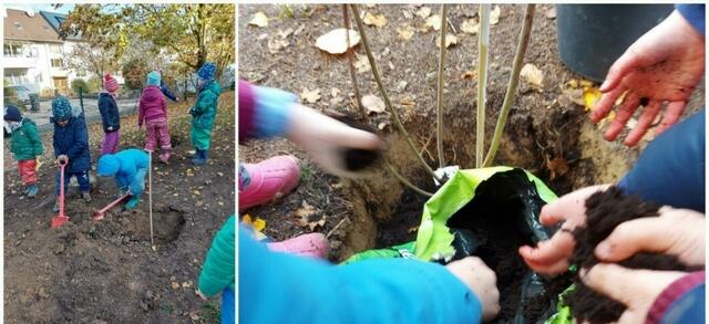 "Unser bienen- und insektenfreundlicher Garten. Passend zu unserem Jahresthema 'Tier-und Umweltschutz' haben wir diesen gemeinsam mit den Kindern eingesät, gepflegt und gestaltet!" | Foto: Melanie Aloi, Kindertagestätte St. Elisabeth Bretten