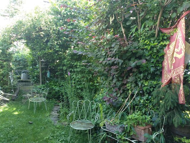 "Ich versuche auf kleinstem Raum (Reihenmittelhaus) hinten und vorne viel Grün sowie Totholz, und einen kleinen Teich für die Insekten und anderen kleinen Lebewesen anzubieten. Es duftet herrlich, auch der Feigenbaum und darunter blühen die Funken." | Foto: Cornelia Kühn