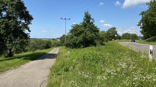 Blick vom Karlsruher Dreieck auf die Landschaft, die nach dem Willen der Stadt Bretten in ein Gewerbegebiet umgewandelt werden soll.  | Foto: bea