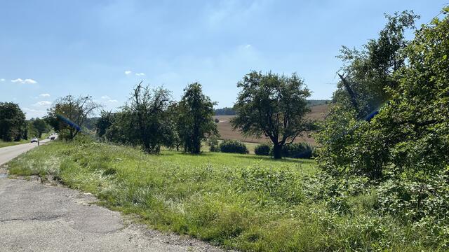 Die B293 führt links in Richtung Karlsruhe. | Foto: bea