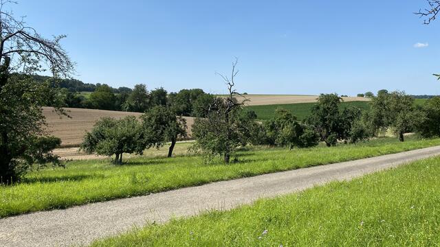 Blick vom Karlsruher Dreieck auf die Landschaft, die nach dem Willen der Stadt Bretten in ein Gewerbegebiet umgewandelt werden soll.  | Foto: bea