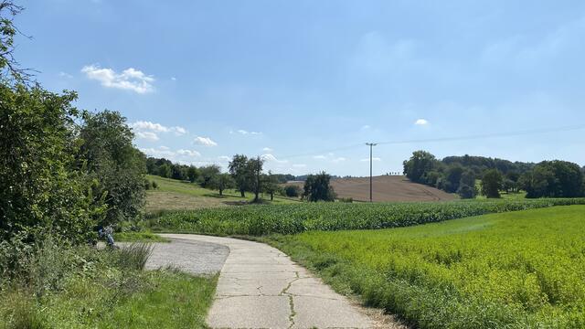 Blick in Richtung Wössingen. Am Karlsruher Dreieck soll nach dem Willen der Stadt Bretten ein Gewerbegebiet entstehen. | Foto: bea