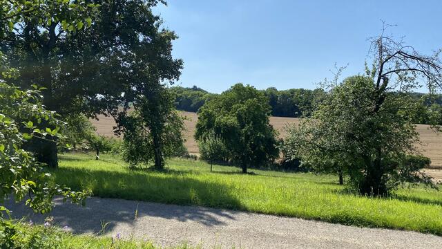 Blick vom Karlsruher Dreieck auf die Landschaft, die nach dem Willen der Stadt Bretten in ein Gewerbegebiet umgewandelt werden soll.  | Foto: bea