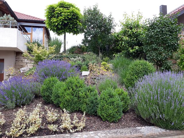 Der Garten von Irmgard Fischer aus Sulzfeld. | Foto: Irmgard Fischer