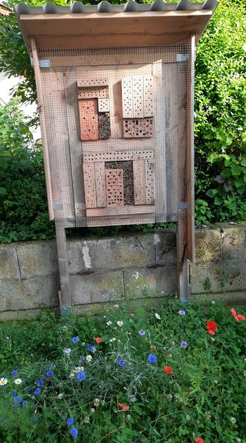 Foto: Maike Grafe, Sulzfeld 