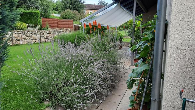 Dusan Stojic aus Bretten.